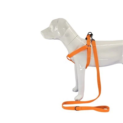 Txiv kab ntxwv Dog Harness