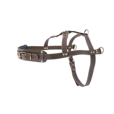 Premium Leather Dog Harness Rau Cov dev Loj